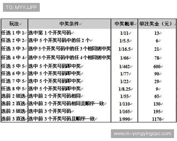 幸运11选5投注技巧与策略全解析助力提高中奖概率