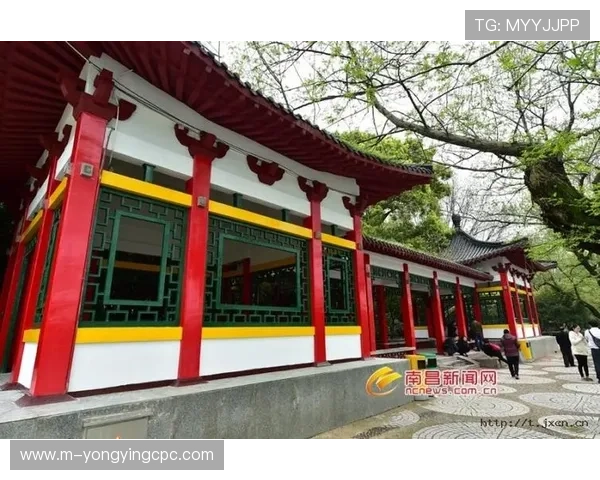 幸运11选5走势分析技巧与预测方法深度解析助您精准选号策略