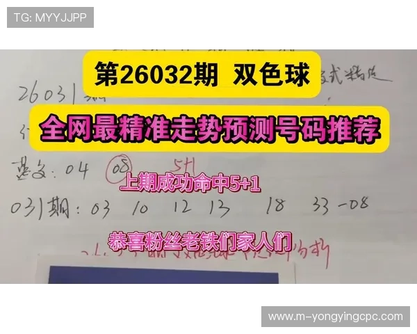 精准解析历史数据预测下一期彩票号码走势策略指南